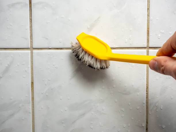 Best Emergency Mold Removal  in French Valley, CA