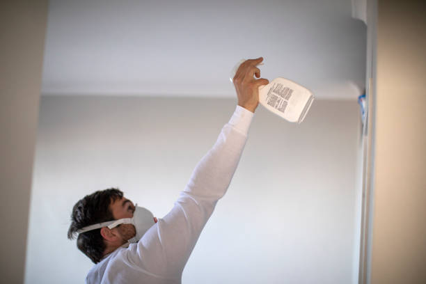 Best Toxic Mold Removal  in French Valley, CA